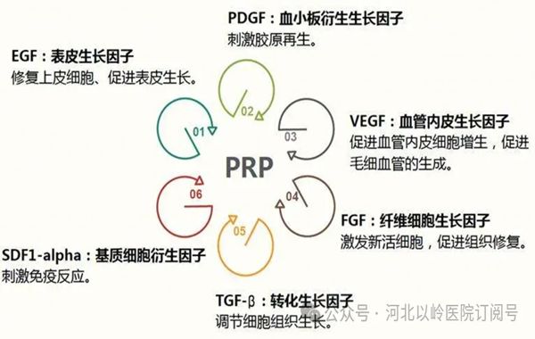 糖尿病足破溃感染 自体血修复创面促愈合